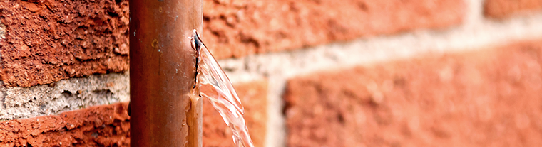 Prevent Facility Issues