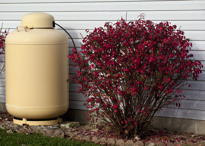 Call on a winter fleet solution